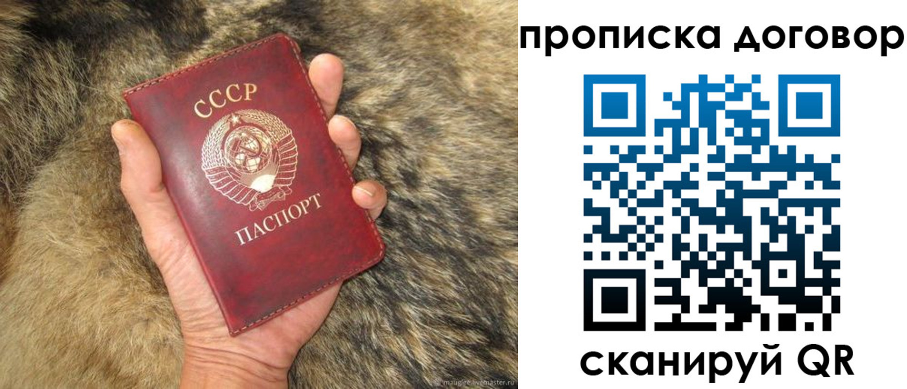 прописка регистрация в Архангельске